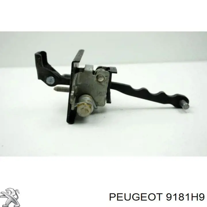Limitador de apertura de puerta delantera Peugeot/Citroen 9181H9 precio, desde 21,51 EUR