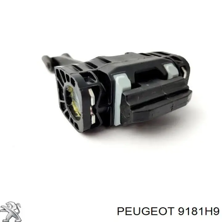 Limitador de apertura de puerta delantera 9181H9 Peugeot/Citroen