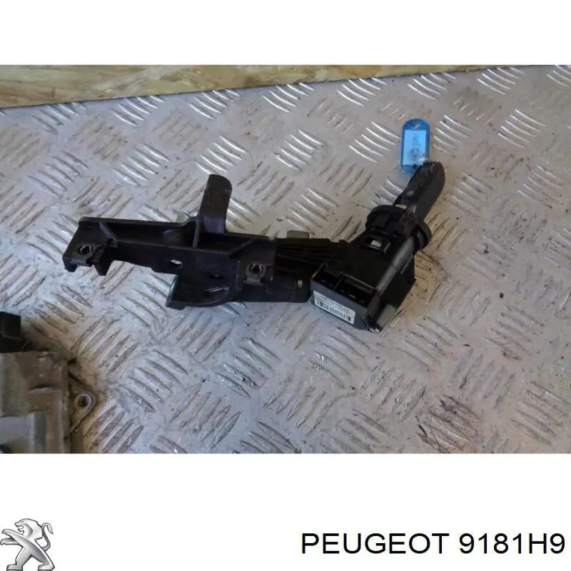 Limitador de apertura de puerta delantera Peugeot/Citroen 9181H9 precio, desde 21,51 EUR
