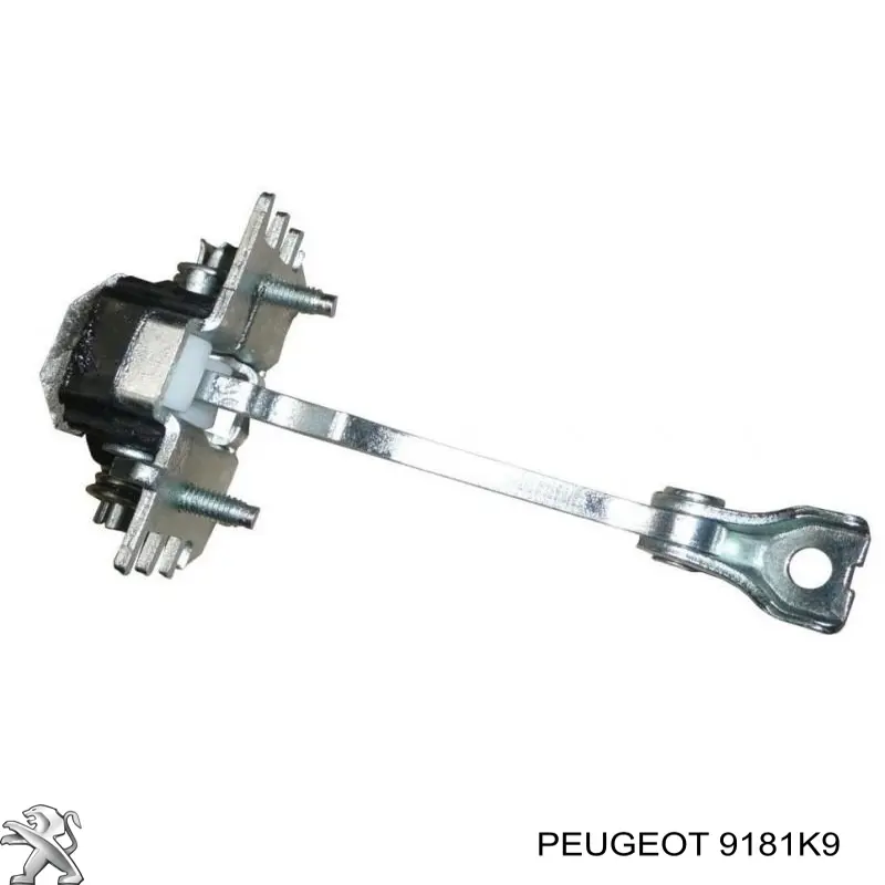 9181K9 Peugeot/Citroen asegurador puerta delantera