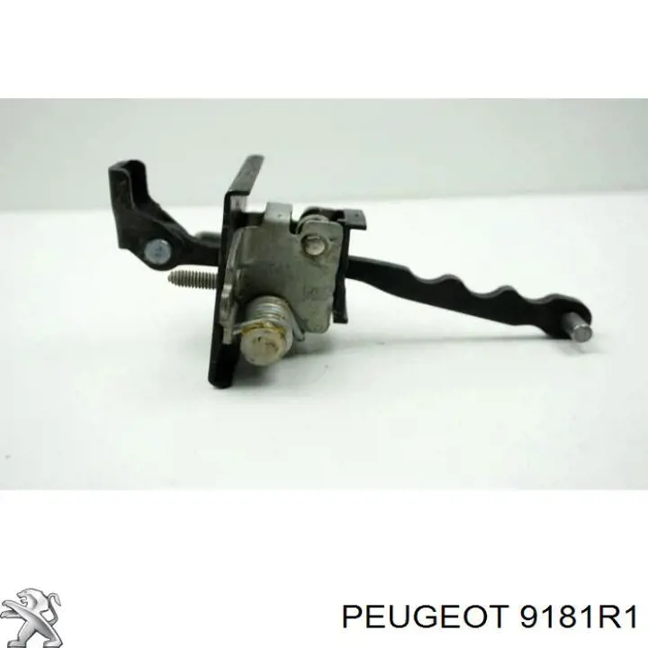 Limitador de apertura de puerta delantera 775530 Cautex
