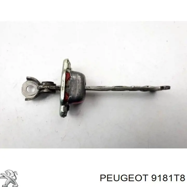 Asegurador puerta delantera para Citroen C1 (PM, PN)