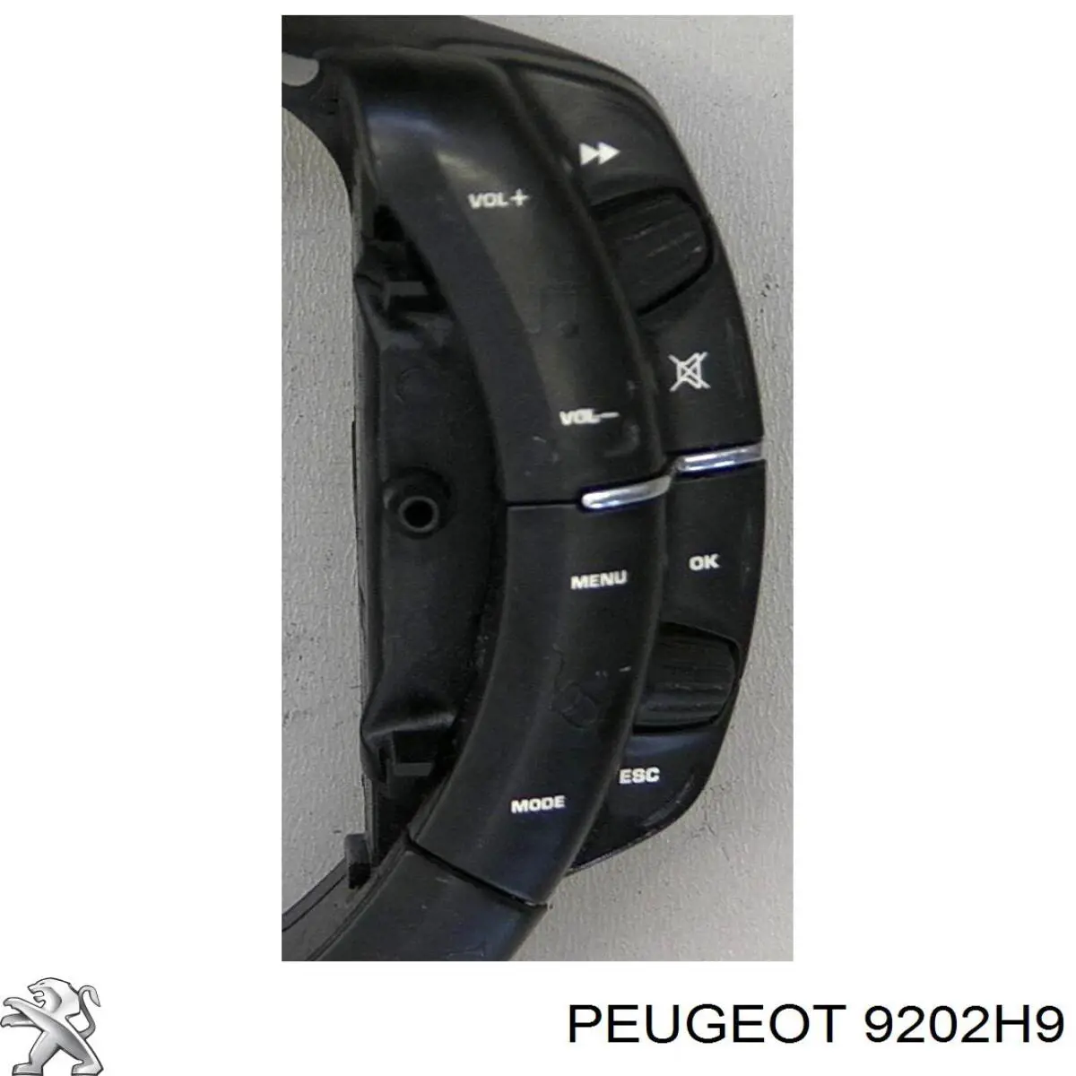 Comprar 9202H9 Peugeot/Citroen Cristal de puerta delantera derecha