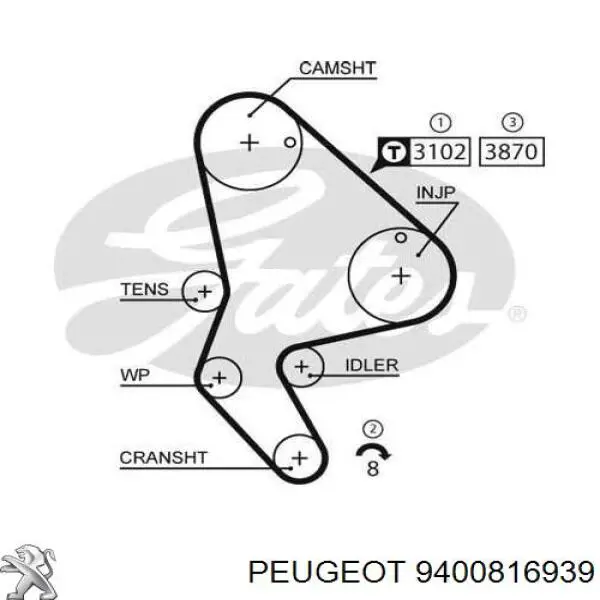 9400816939 Peugeot/Citroen correa distribucion