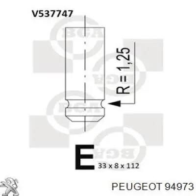 94973 Peugeot/Citroen válvula de escape