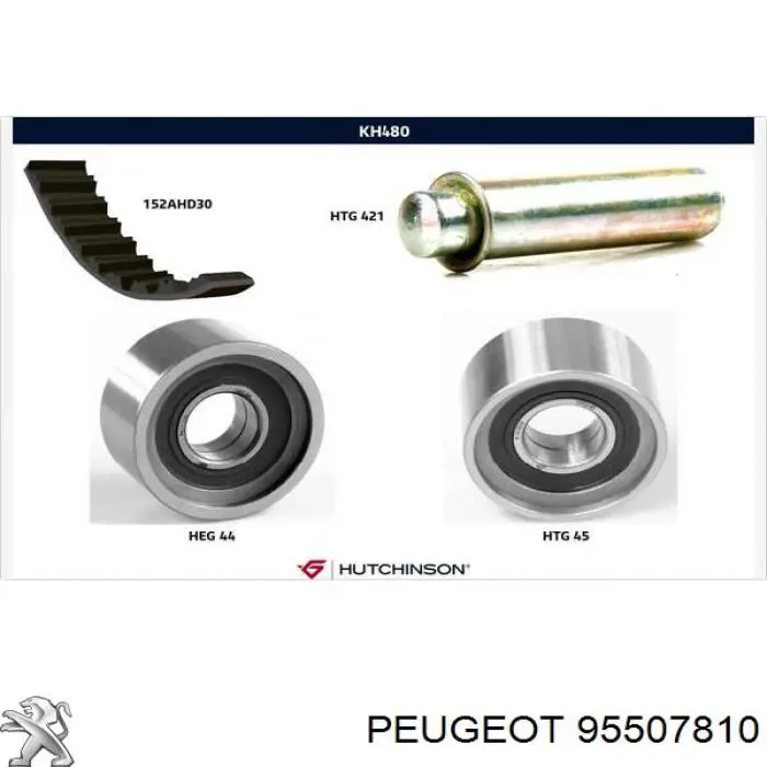 Comprar 95507810 Peugeot/Citroen Kit de correa de distribución