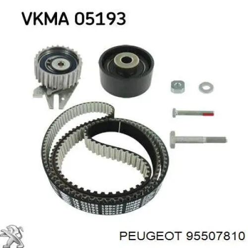 95507810 Peugeot/Citroen Kit correa de distribución