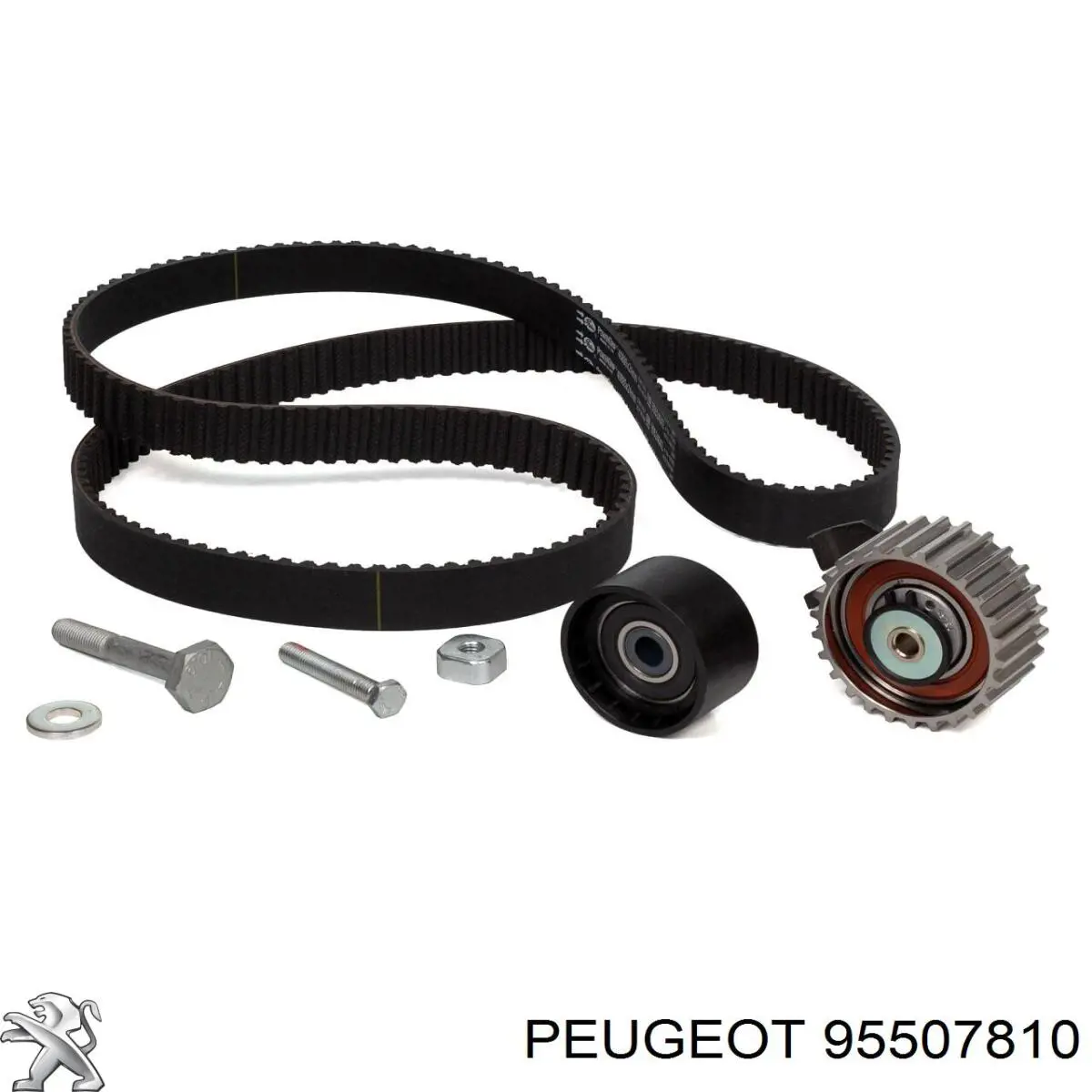 Juego de correas dentadas Peugeot/Citroen 95507810 precio, desde 87,63 EUR