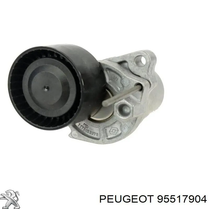 95517904 Peugeot/Citroen Correa de transmisión, completo