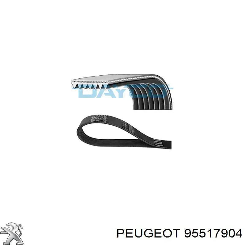 Comprar 95517904 Peugeot/Citroen Correa de transmisión