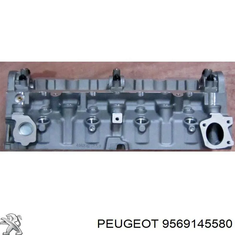 9569145580 Peugeot/Citroen culata