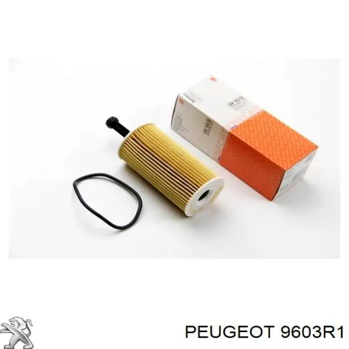 9603R1 Peugeot/Citroen Juego de faldillas guardabarro traseros
