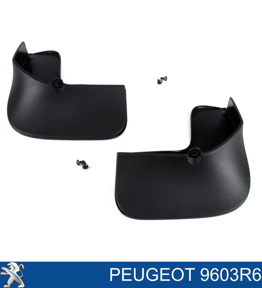 9603R6 Peugeot/Citroen Juego de faldillas guardabarro traseros