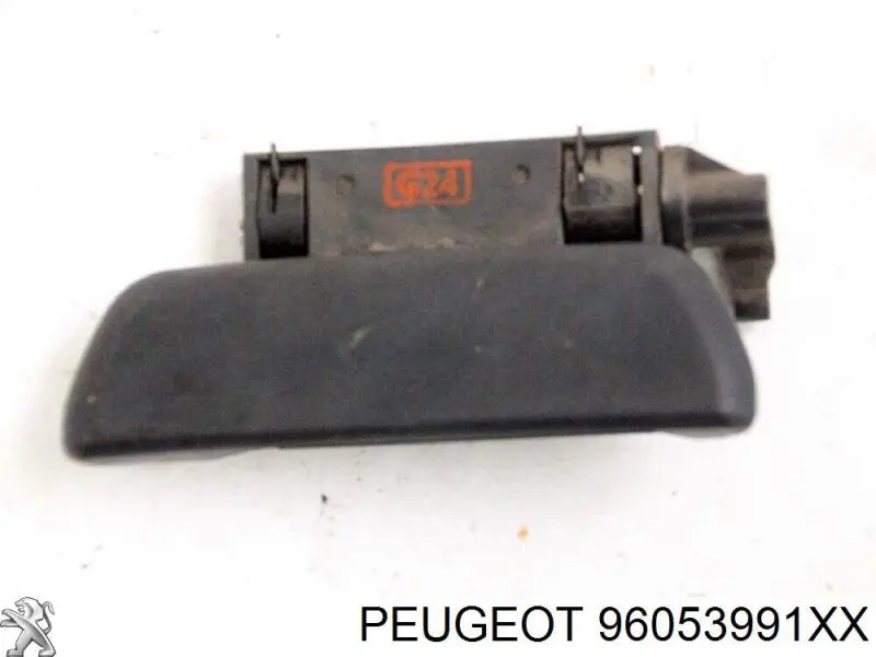 96053991XX Peugeot/Citroen