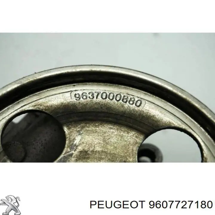 Polea de la bomba de dirección asistida Peugeot/Citroen 9607727180 precio, desde 45,01 EUR