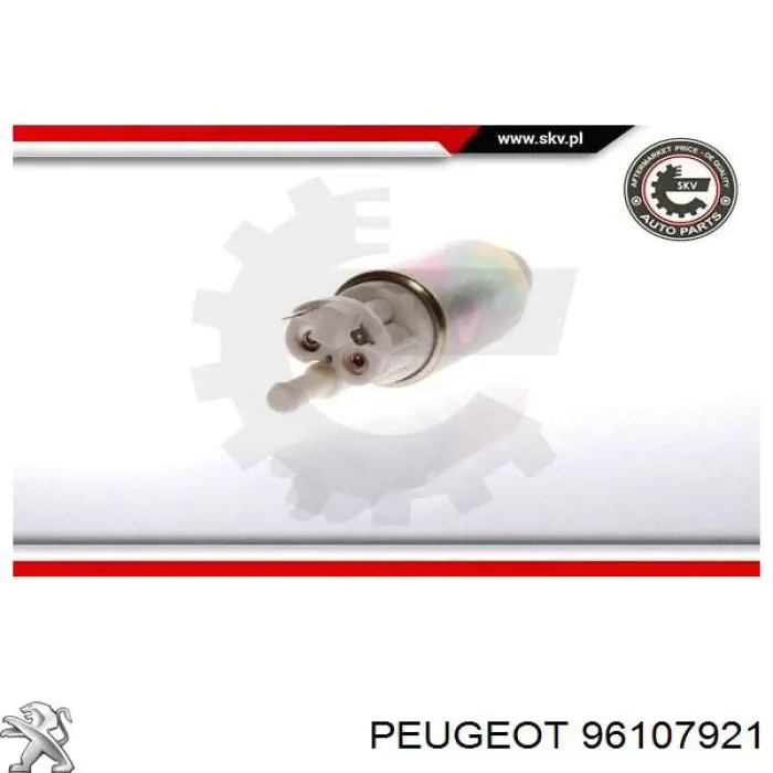 96107921 Peugeot/Citroen módulo alimentación de combustible