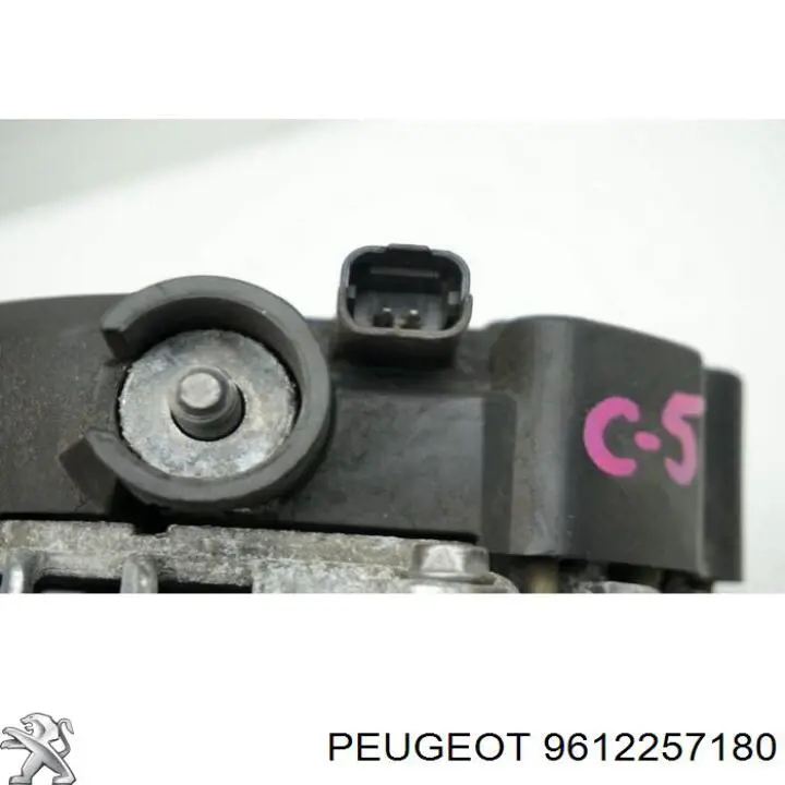 Alternador 5705E6 Peugeot/Citroen