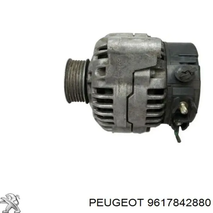 9617842880 Peugeot/Citroen alternador