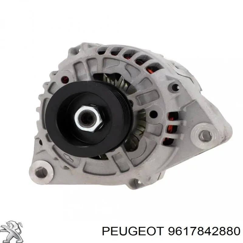 Comprar 9617842880 Peugeot/Citroen Dynamo