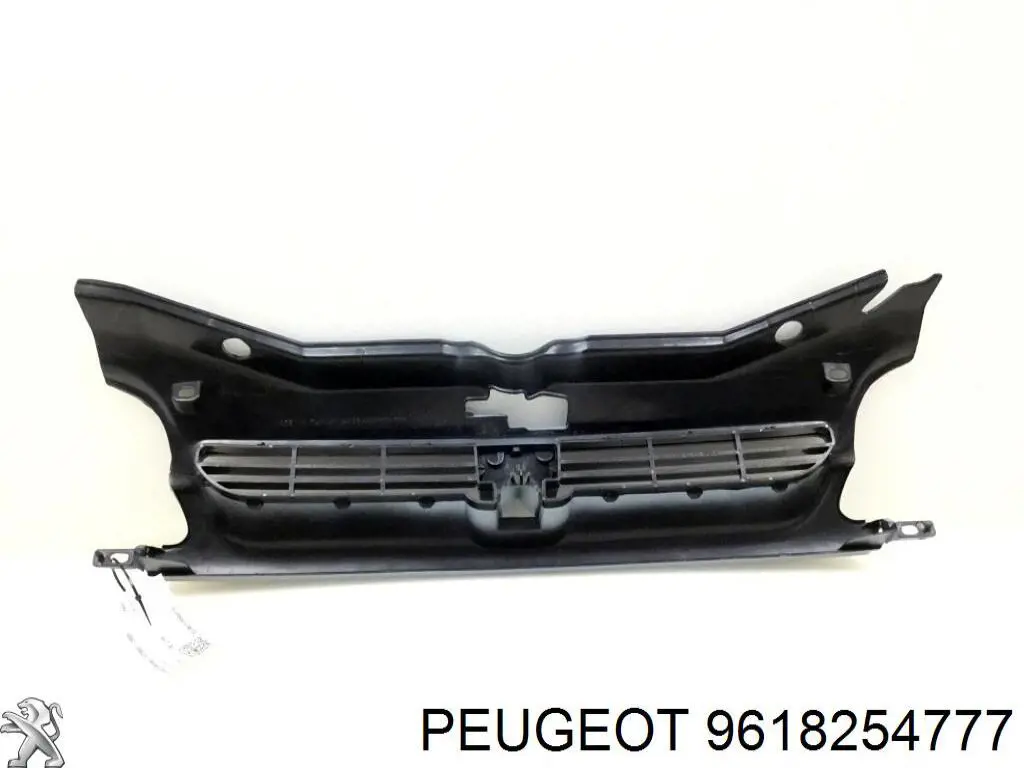 9618254777 Peugeot/Citroen parrilla