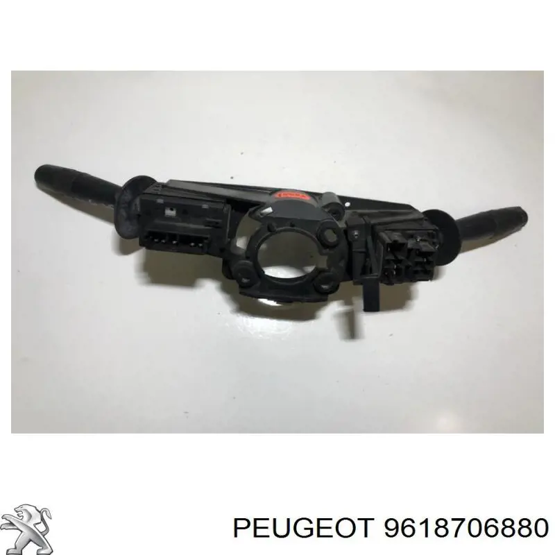 9618706880 Peugeot/Citroen