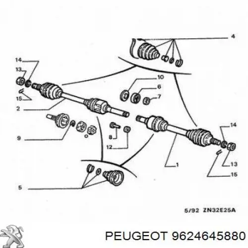 9624645880 Peugeot/Citroen árbol de transmisión delantero derecho