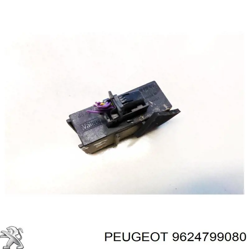 9624799080 Peugeot/Citroen