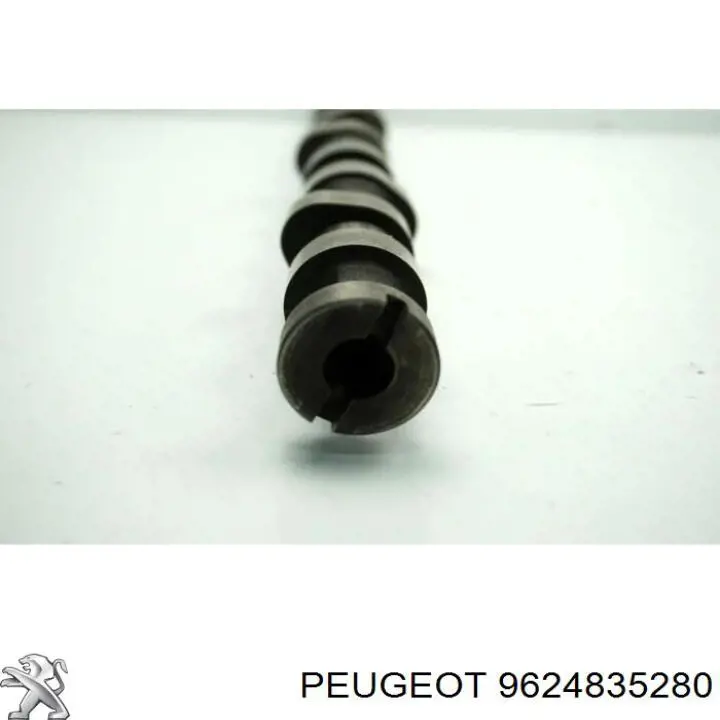 Árboles de levas Peugeot/Citroen 9624835280 precio, desde 77,30 EUR
