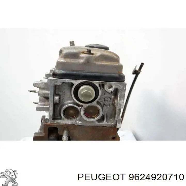  9624920710 Peugeot/Citroen