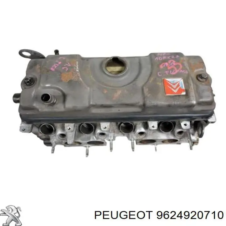  Peugeot/Citroen 9624920710