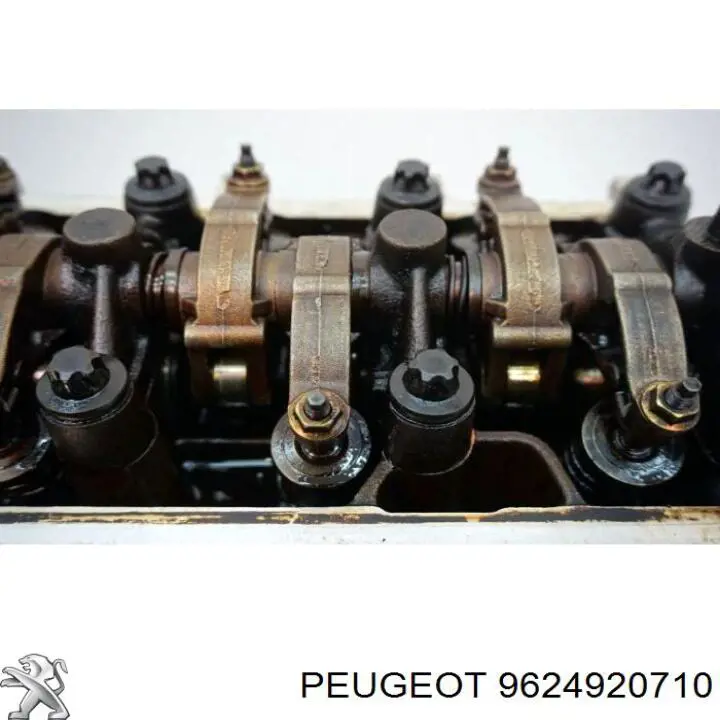 9624920710 Peugeot/Citroen 