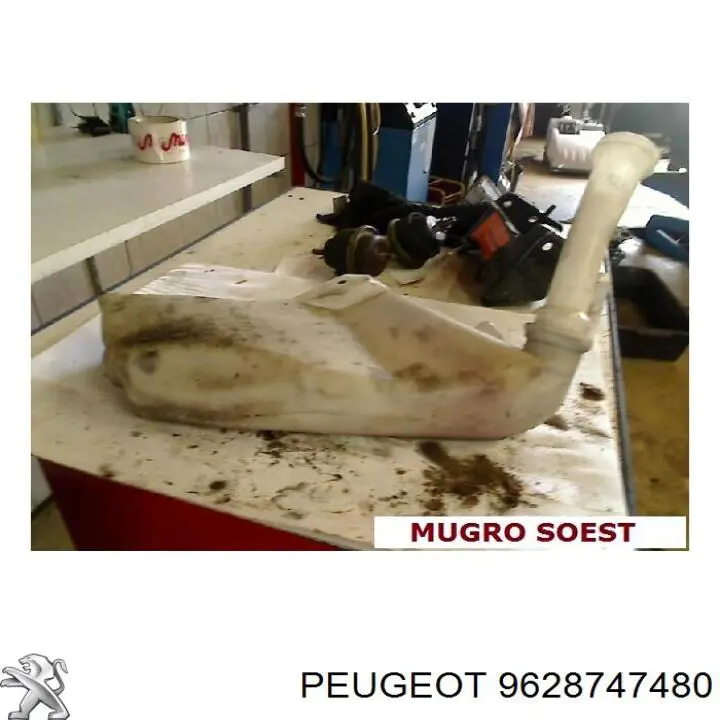 9628747480 Peugeot/Citroen 