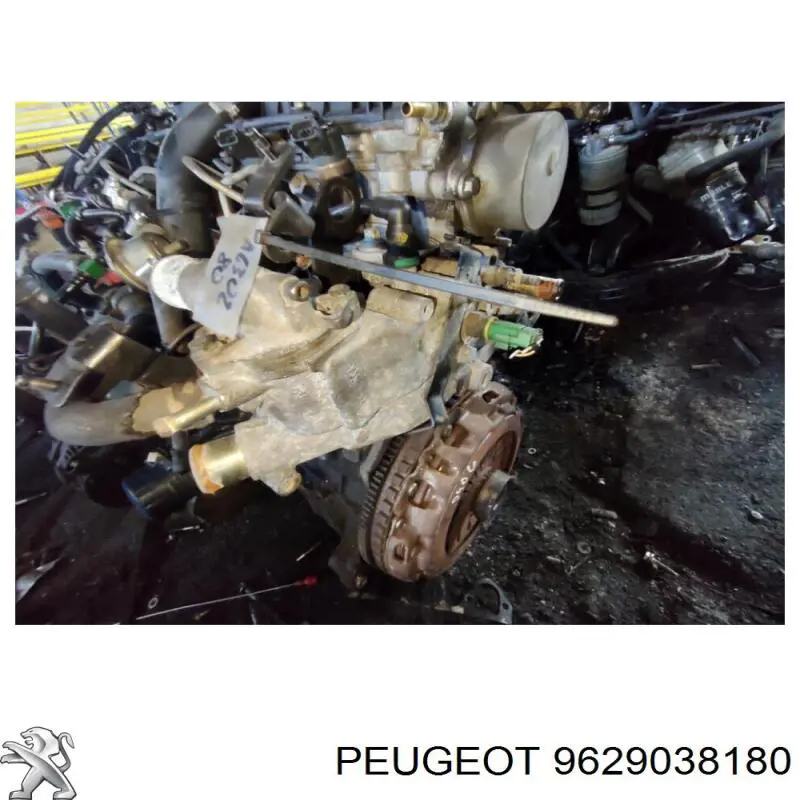 9629038180 Peugeot/Citroen tapa de termostato