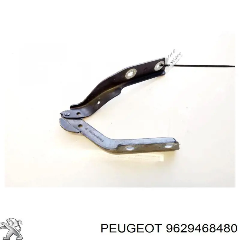 Bisagra izquierda del capó Peugeot/Citroen 791258 precio, desde 39,20 EUR
