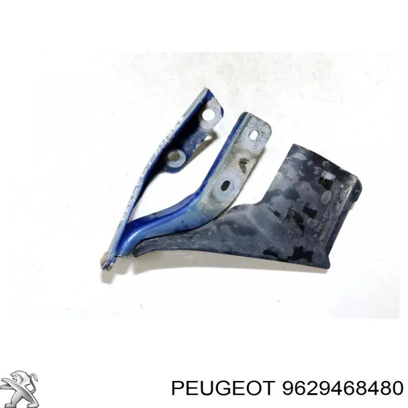 791258 Peugeot/Citroen Bisagra de capot izquierda