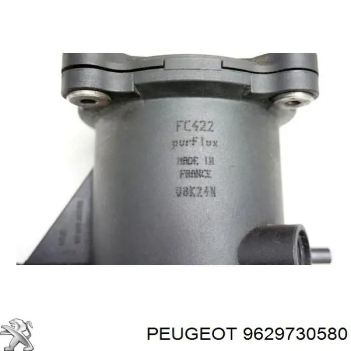 9629730580 Peugeot/Citroen Caja del filtro de combustible