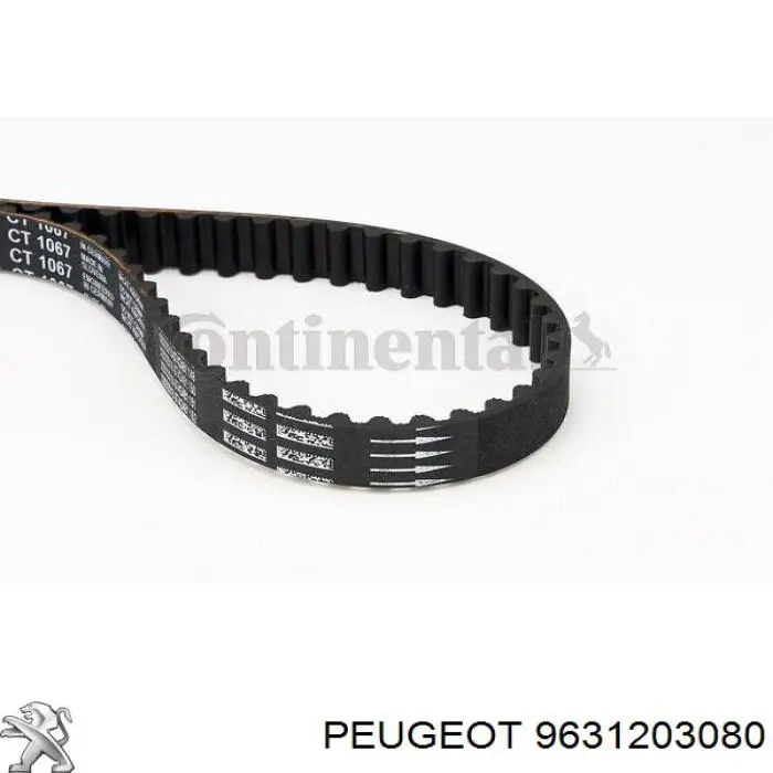 Comprar 9631203080 Peugeot/Citroen Correa distribución