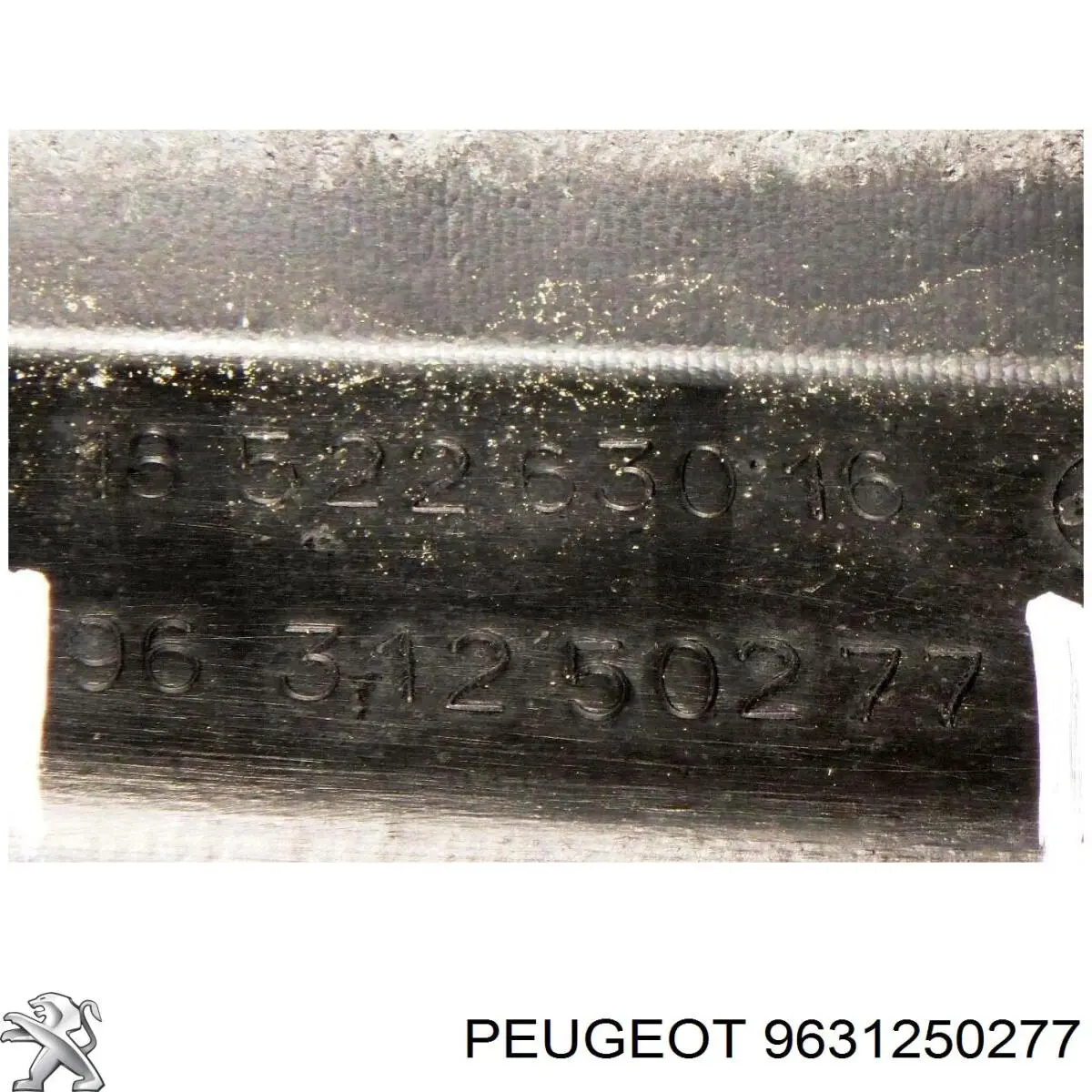 Rejilla delantera Peugeot/Citroen 9631250277 precio, desde 52,88 EUR