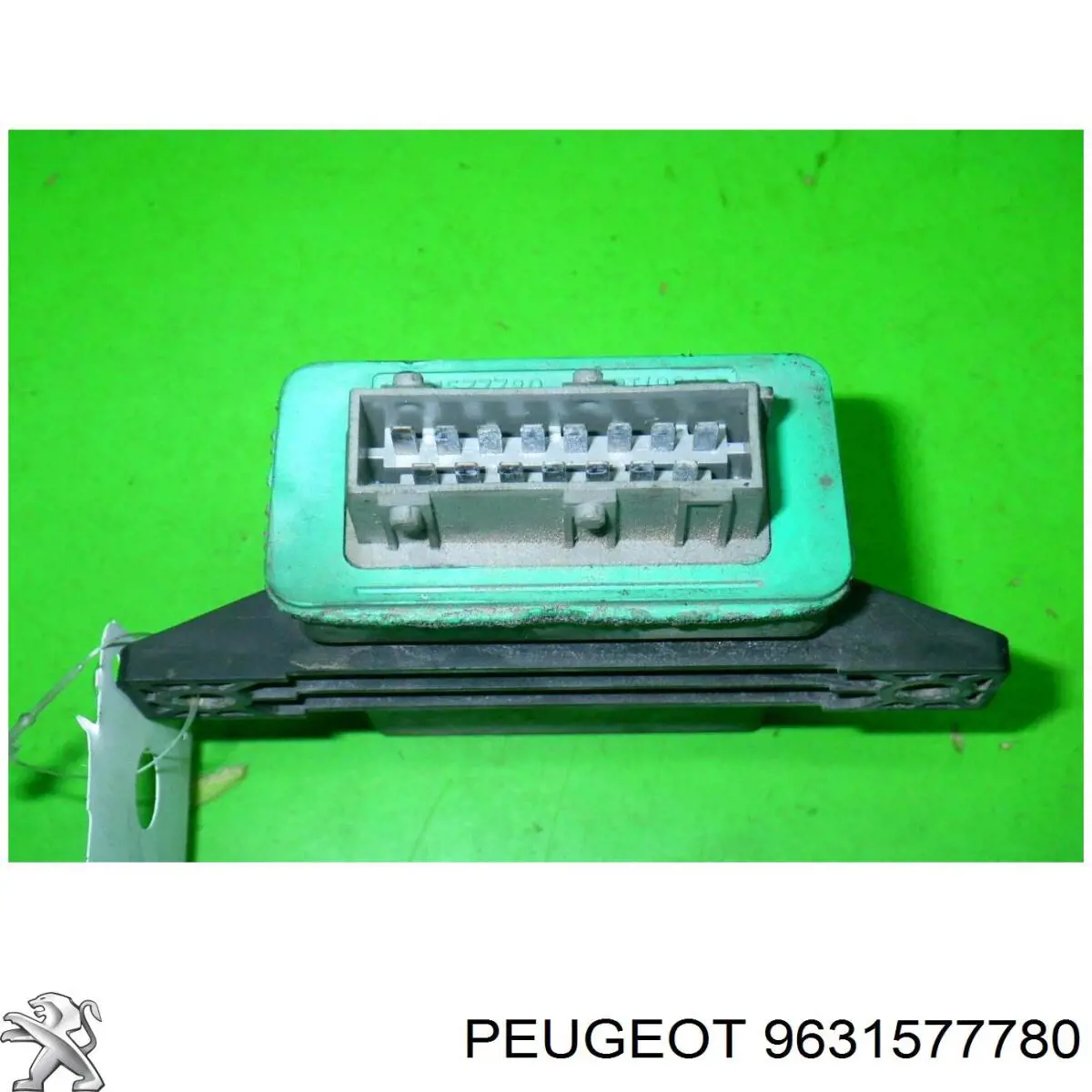  9631577780 Peugeot/Citroen