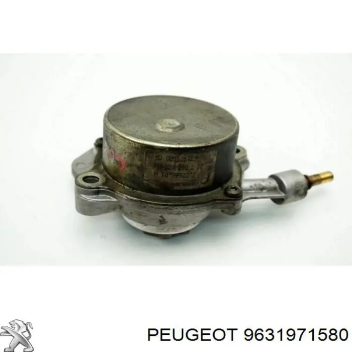 Bomba de vacío 9631971580 Peugeot/Citroen
