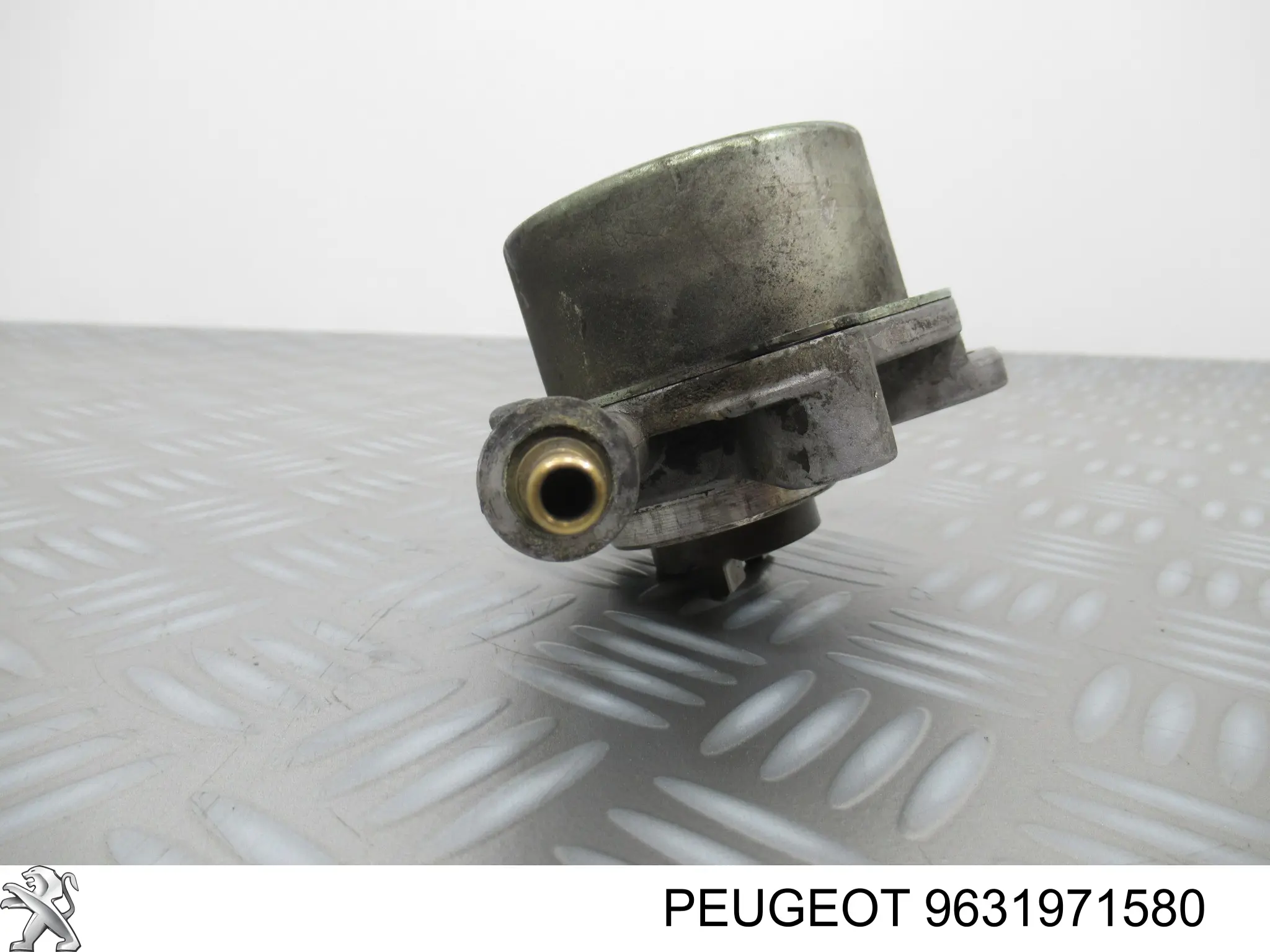 Bomba de vacío 9631971580 Peugeot/Citroen
