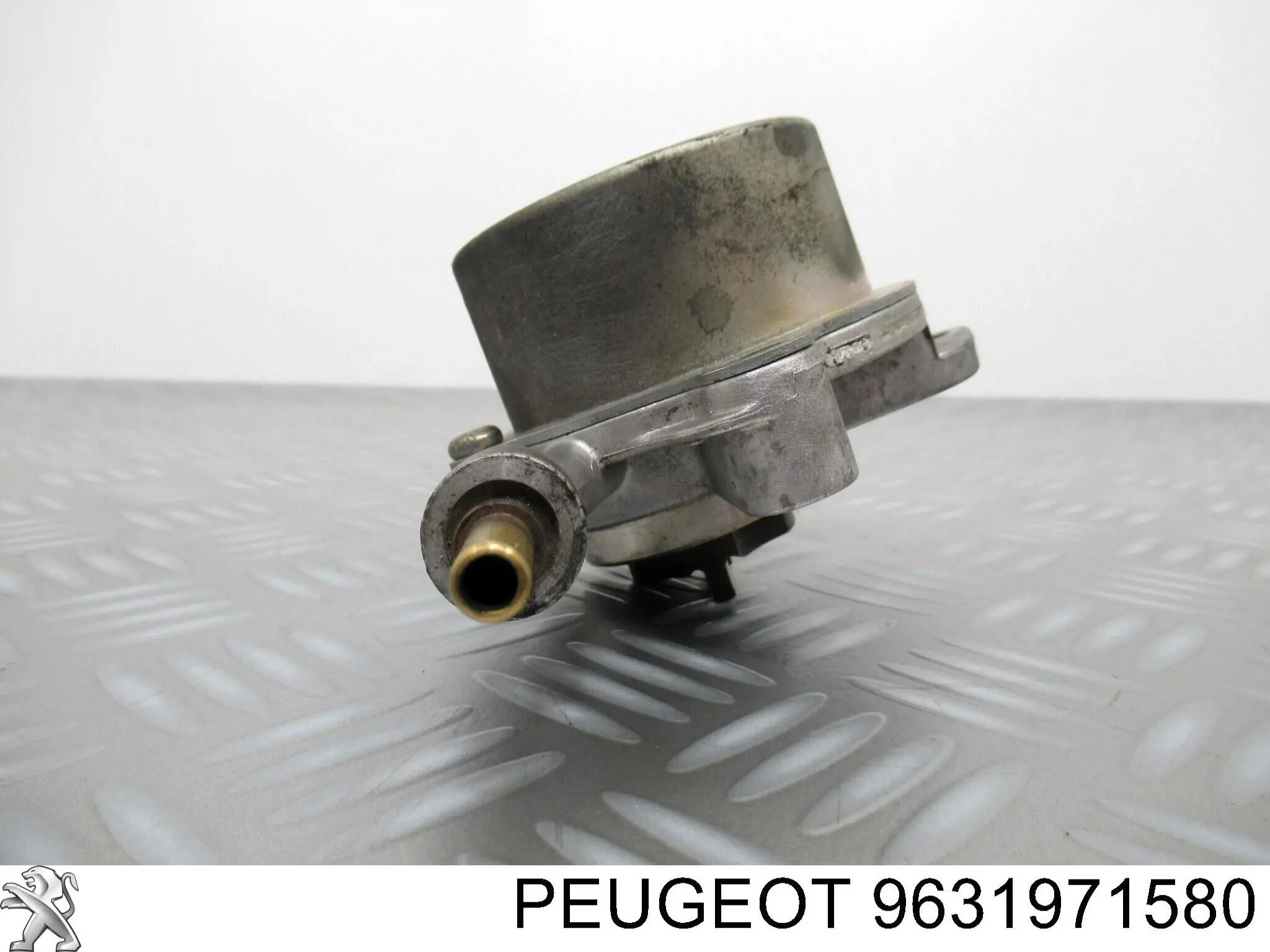 9631971580 Peugeot/Citroen bomba de vacío
