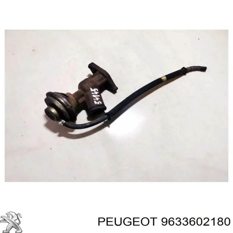 EGR Peugeot/Citroen 9633602180