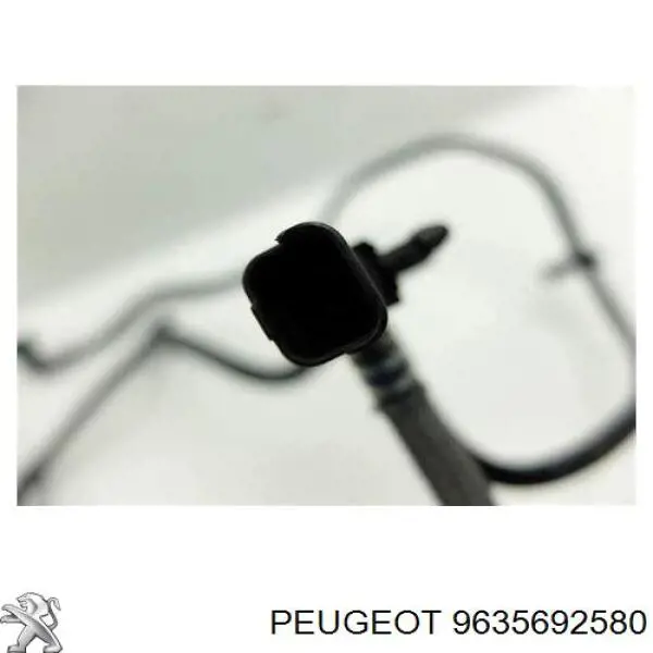 9635692580 Peugeot/Citroen Sensor de temperatura de combustible