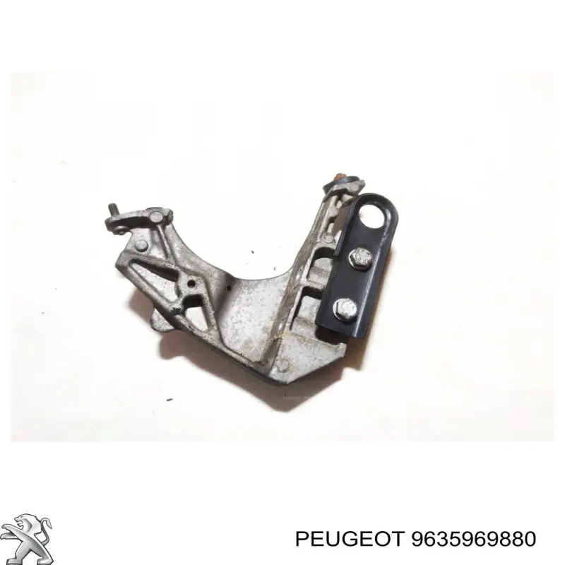 9635969880 Fiat/Alfa/Lancia 