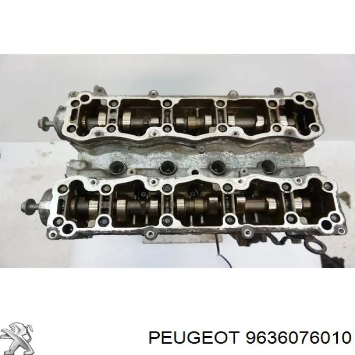 9636076010 Peugeot/Citroen 