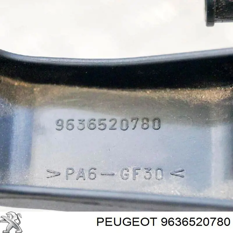 Comprar 9636520780 Peugeot/Citroen Rampa de combustible