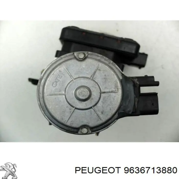  9636713880 Peugeot/Citroen
