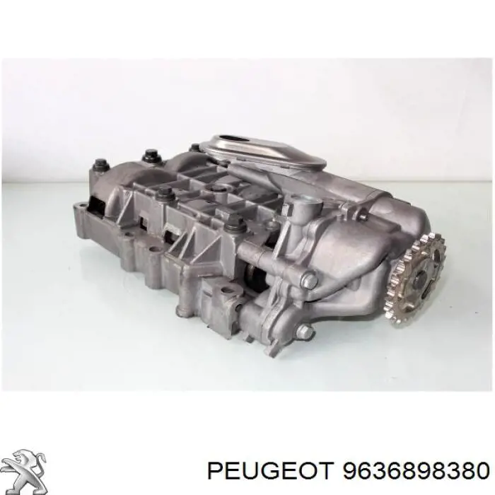 9636898380 Peugeot/Citroen