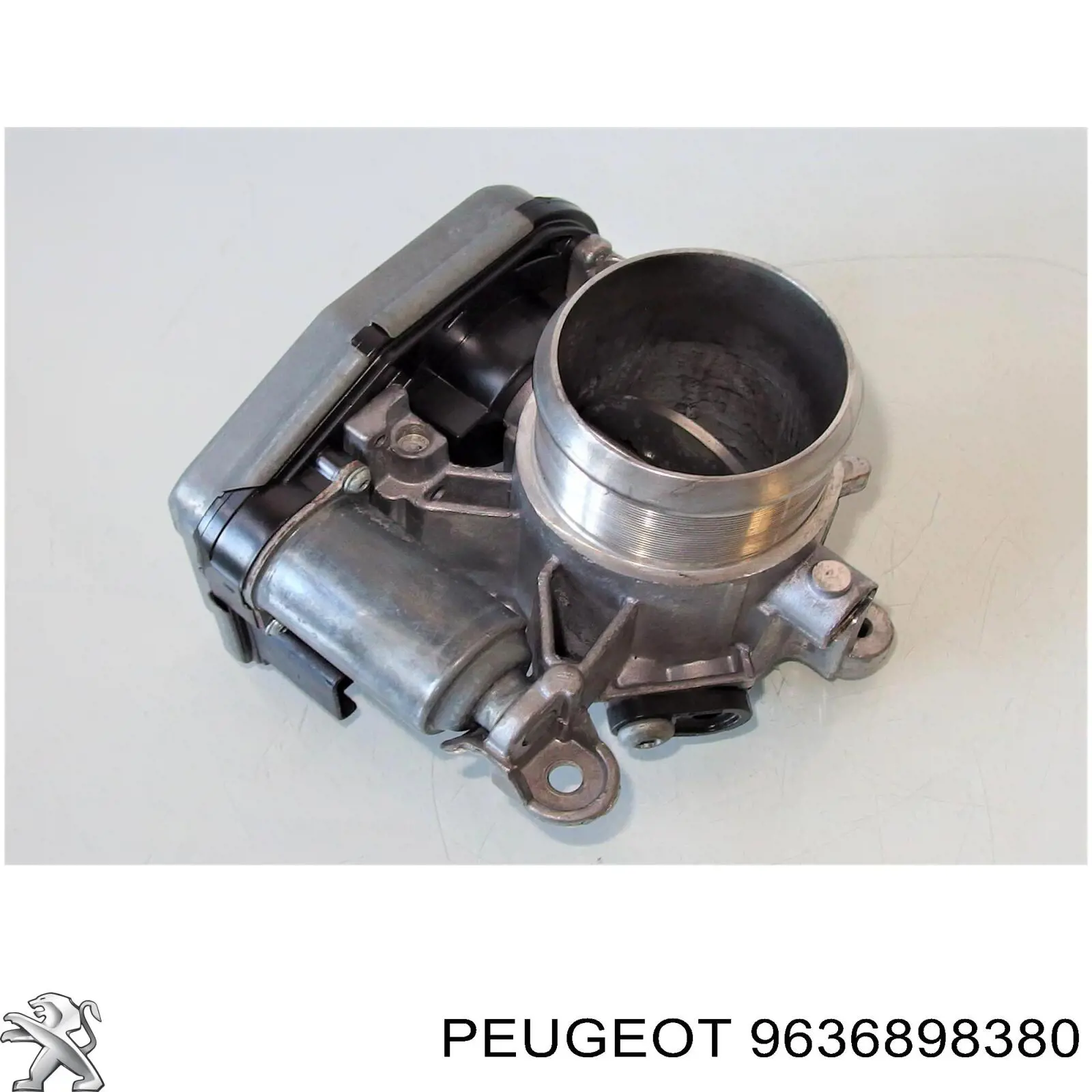  9636898380 Peugeot/Citroen